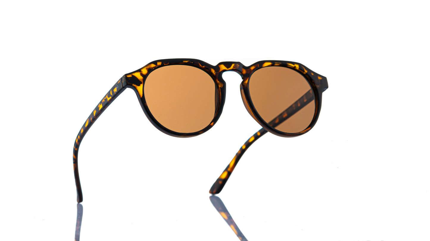Jolt The Santiagos Sunglasses